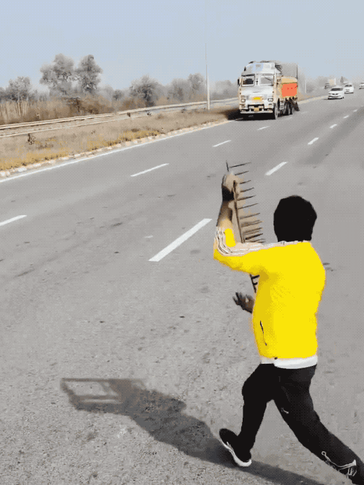 1个月害死85人：印度三哥为“神牛”疯狂杀人，高速上扔钉板导致连环车祸！这里是印