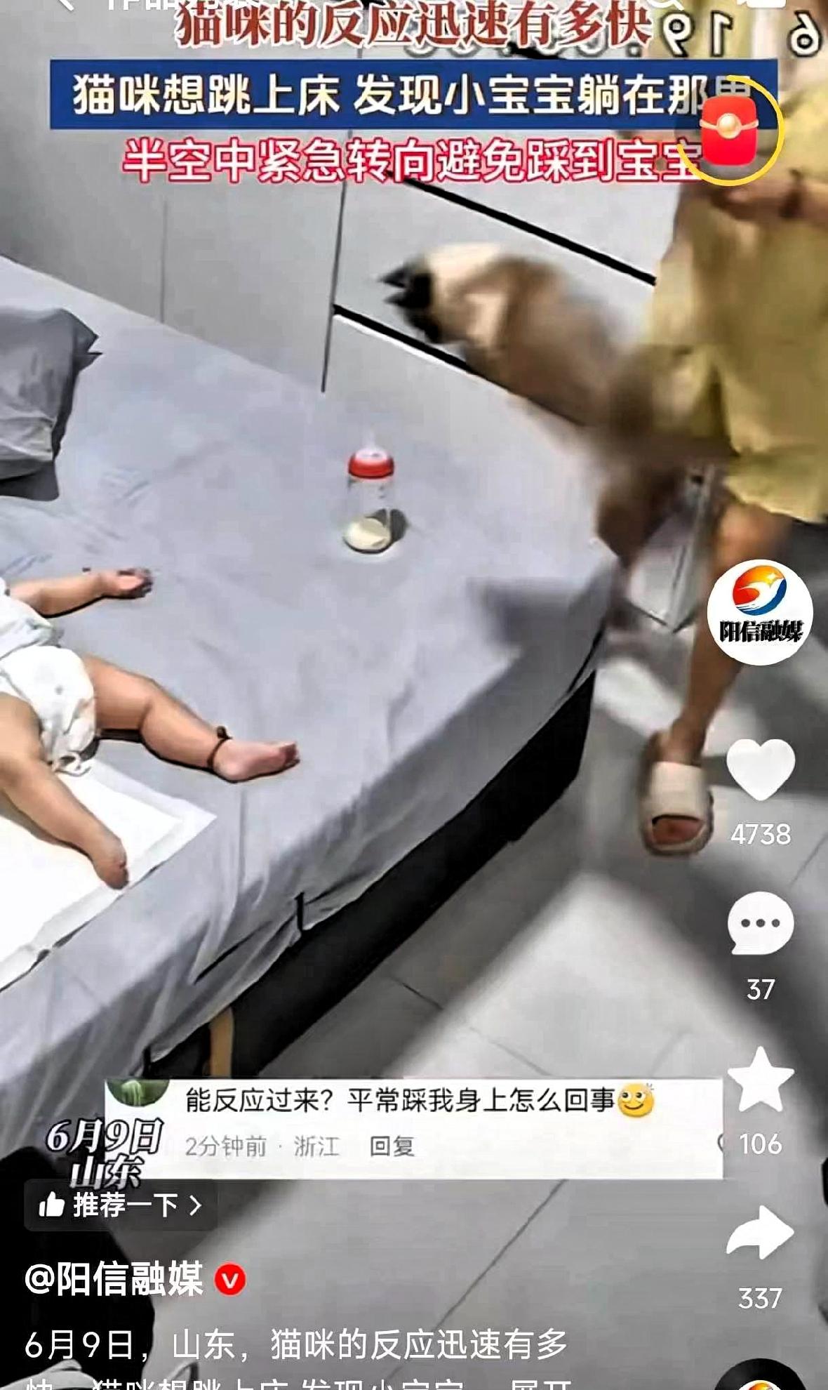 山东，一只猫咪想跳上床，腾空那一刻突然发现小主人躺在床上，硬是在半空中强行拐弯，