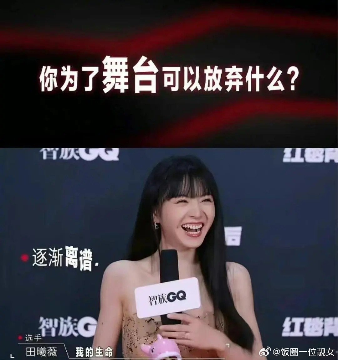 田曦薇本来最开始不就是靠玩梗出名的吗