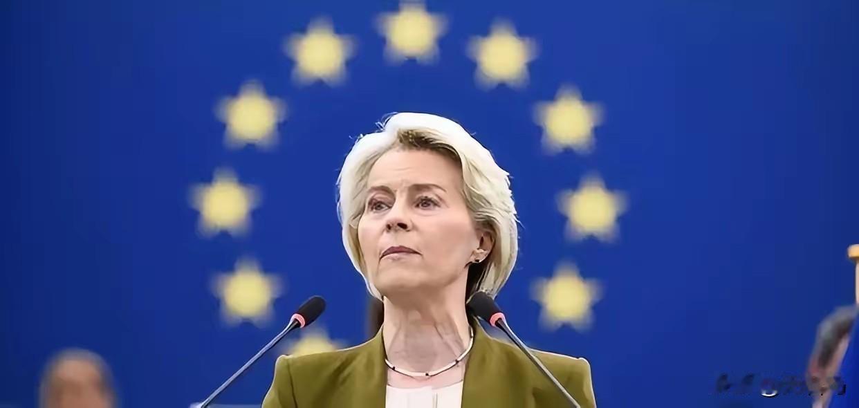 白眼狼一个！欧盟突然对中国动手了！1月29日，据中国贸易救济信息网消息，20