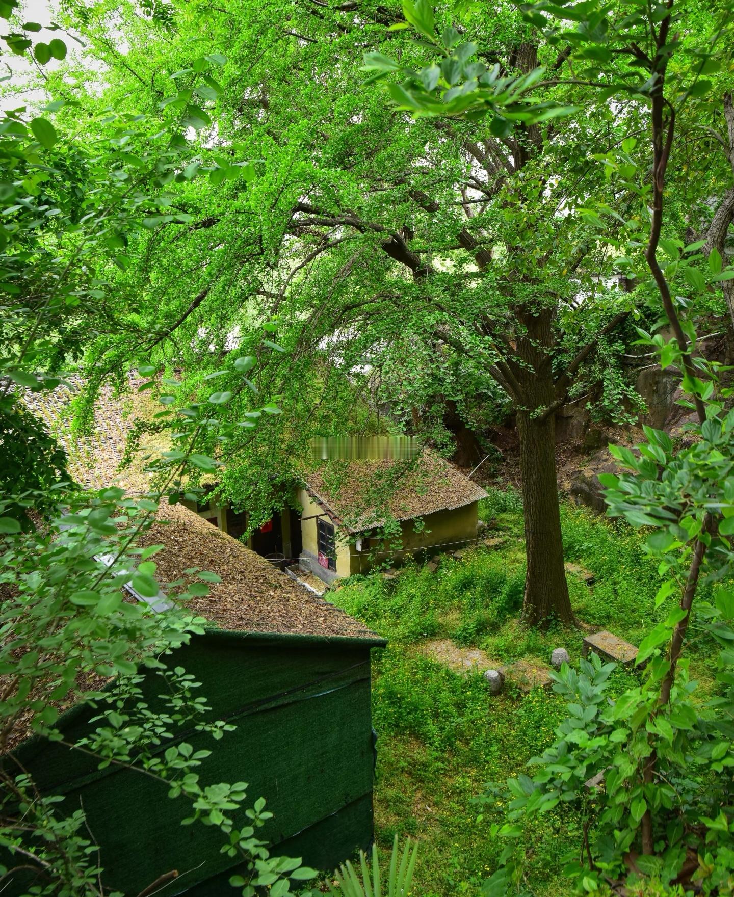 在杭州宝石山向南山脚处，有一尊五代十国时期大佛石像残像。但那会儿，这尊大佛石像可