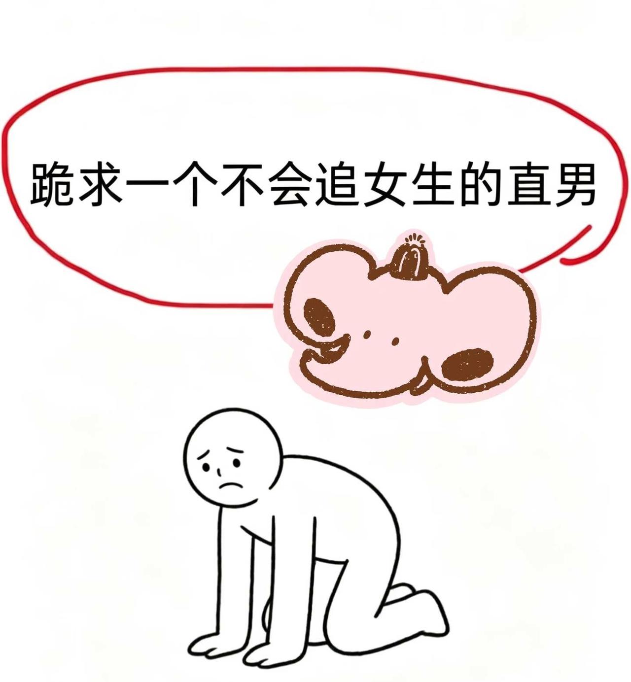 跪求一个不会追女生的直男、打直球的女生很跪求一位23以上不会聊天，不善于推进关