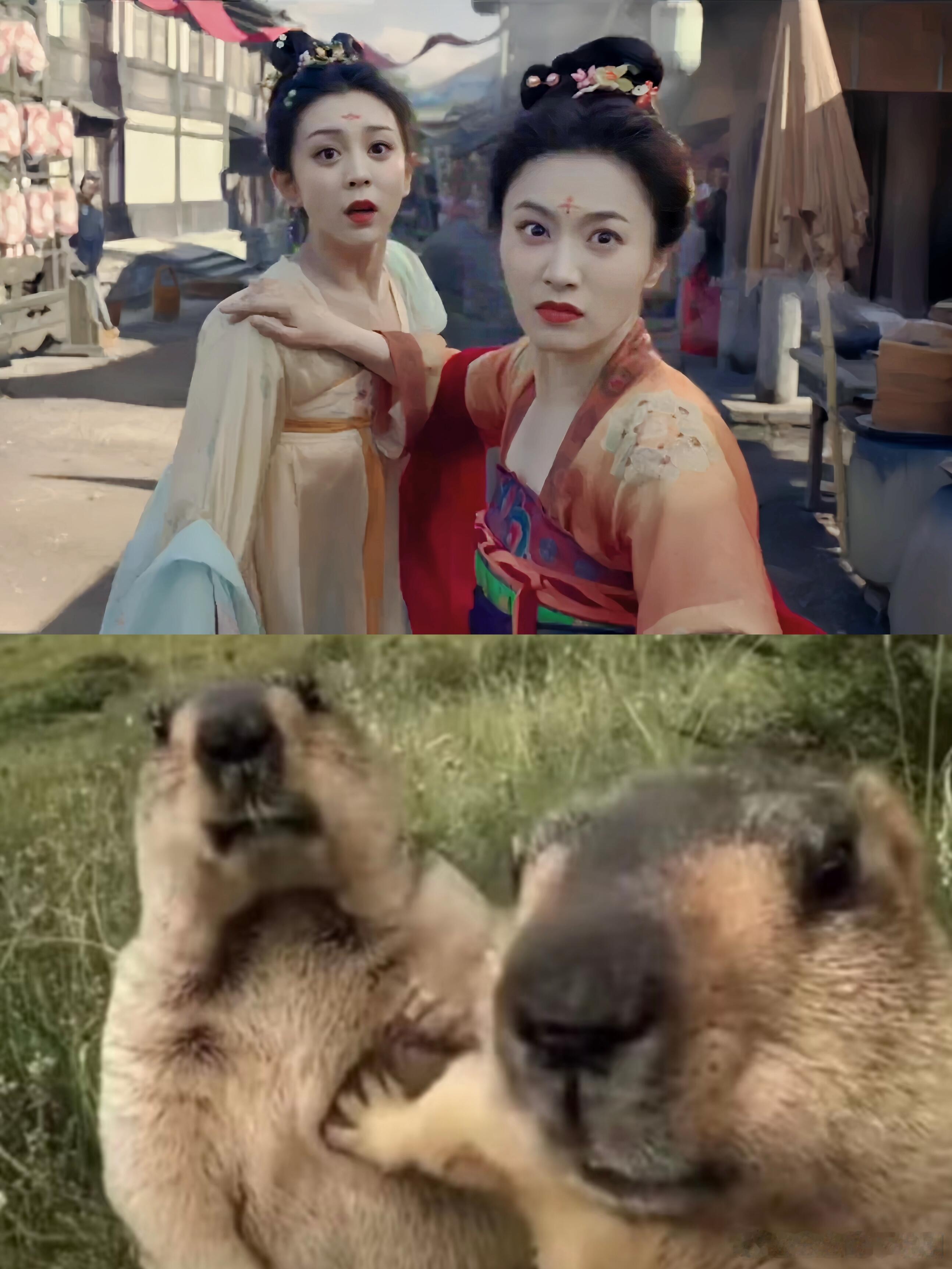 唐朝诡事录这届网友什么图都能找到樱桃和喜君和这两个土拨鼠真是太像了吧！唐