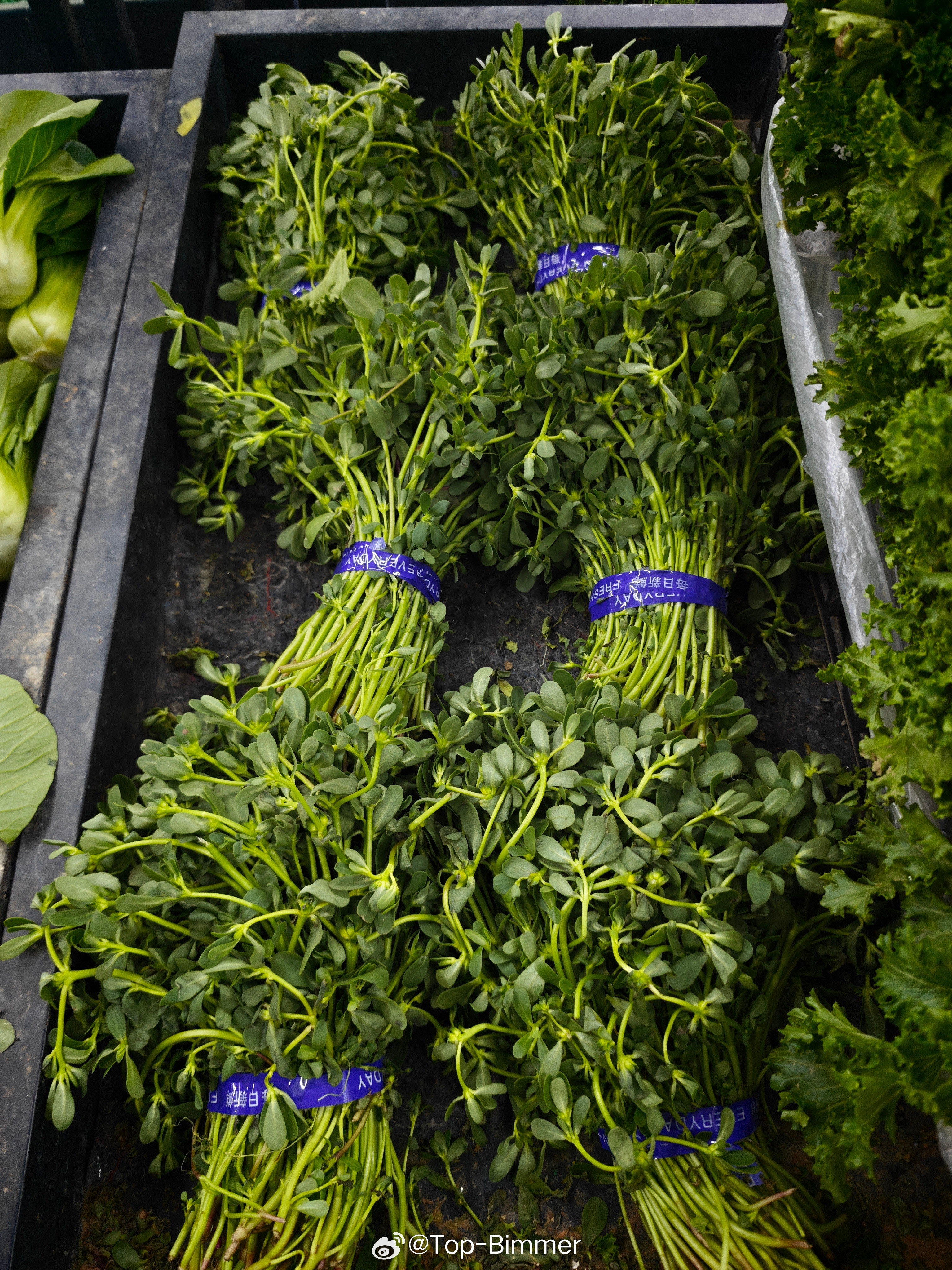 这个，我小时候喂猪吃