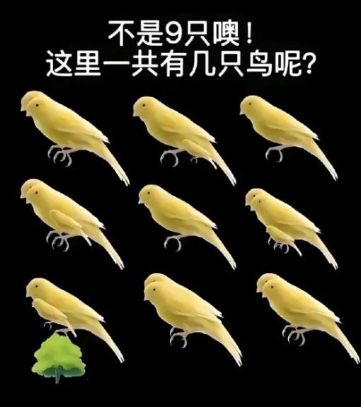 一张看图数鸟谜题难倒大批网友，一眼看上去像九只，细看之后答案出人意料！不少人粗