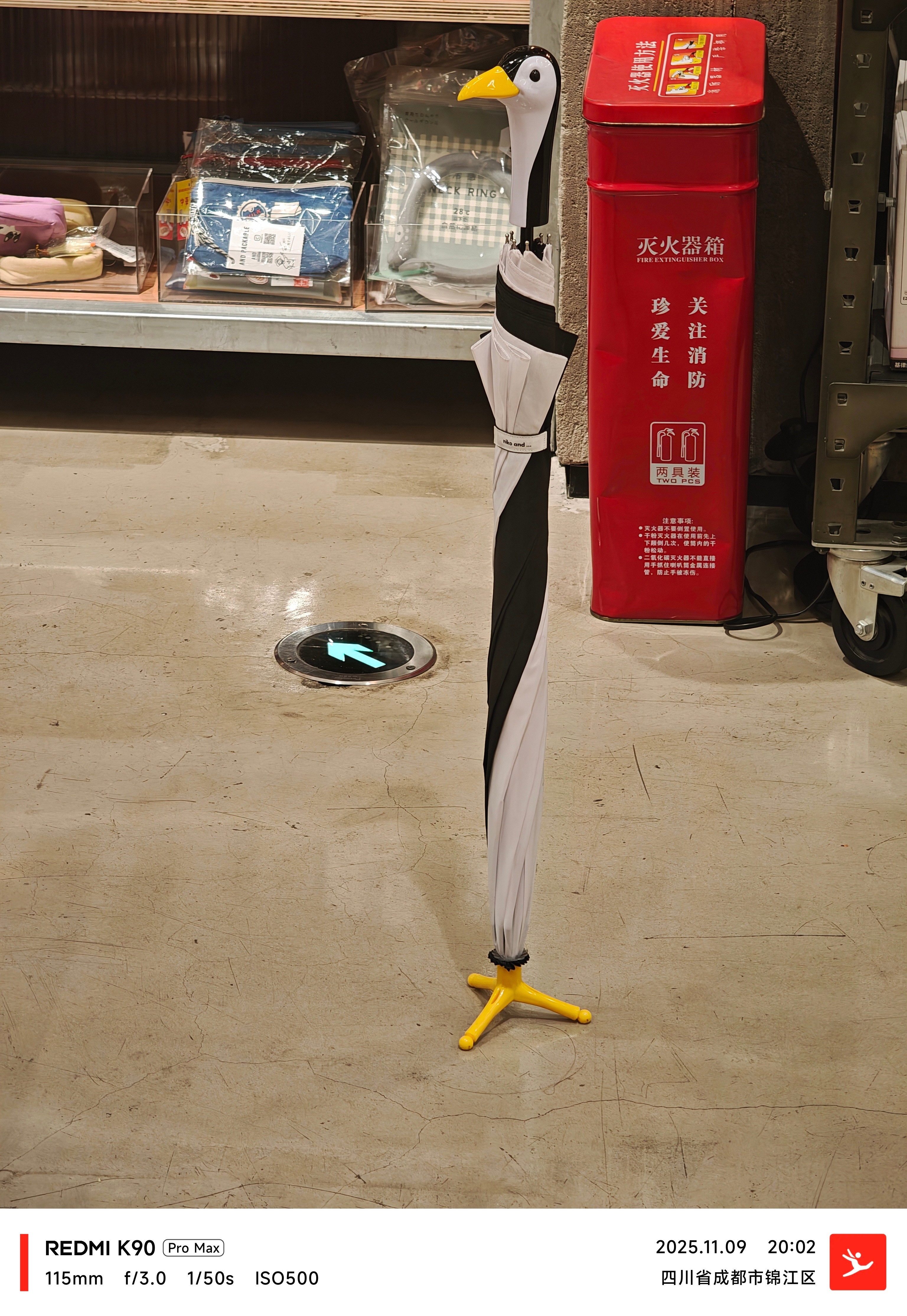 送给牙的主人的礼物→​​​