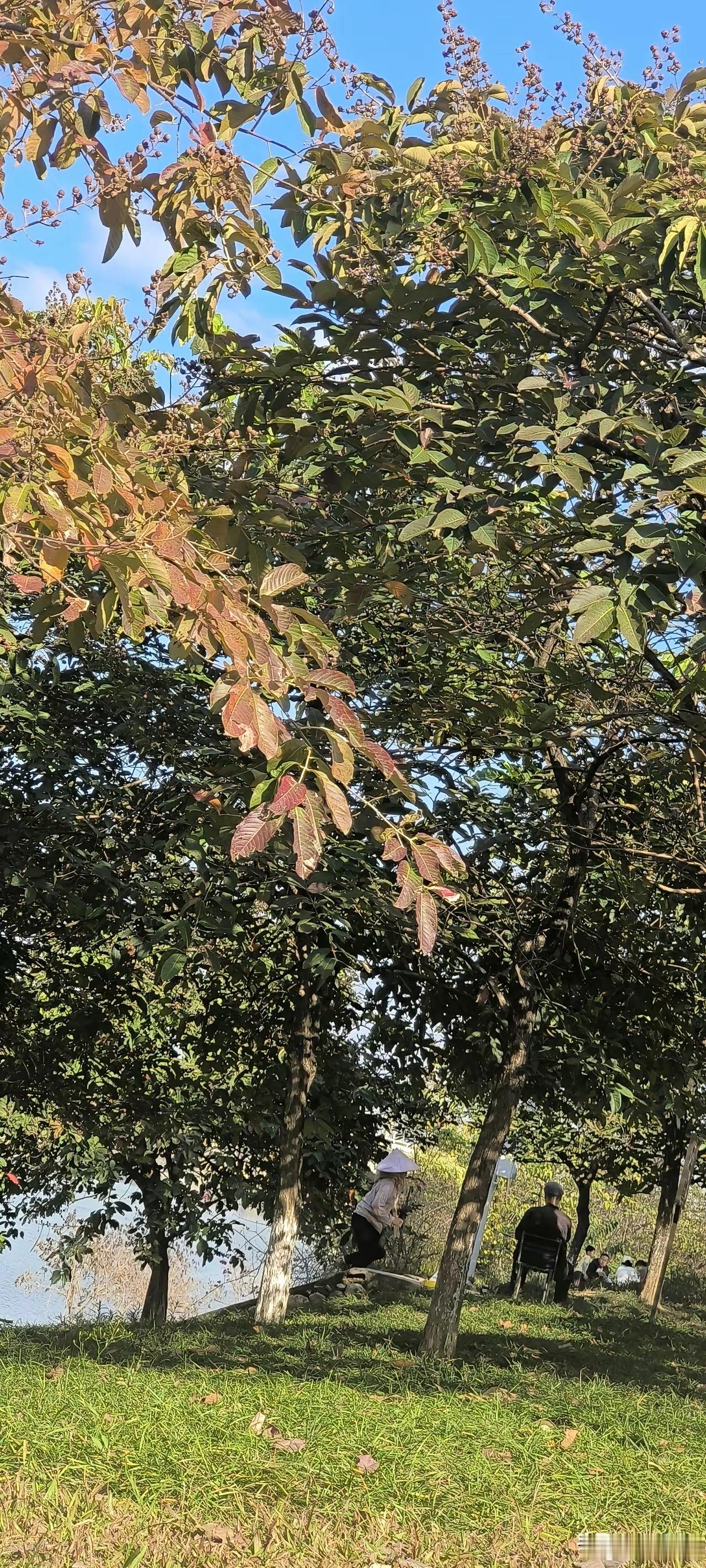 那些真正拥有良好人品的人，往往具备这些显著特质：其一，行事时总秉持着尽量不给他人