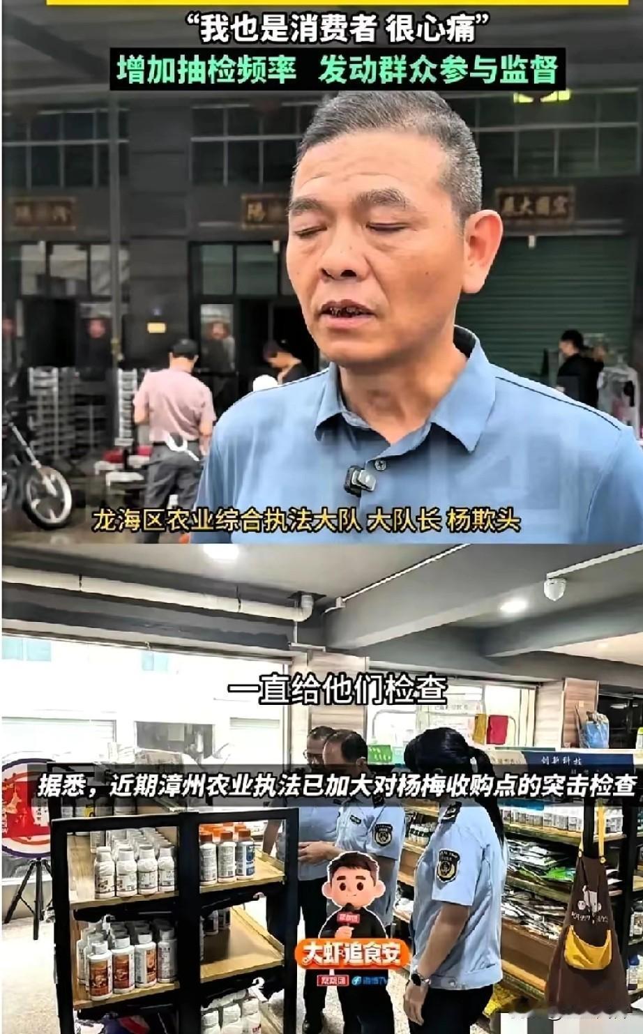 今年漳州的果农估计完了！谁还敢吃？漳州杨梅这事件受伤害的最大不单单是买杨梅的客
