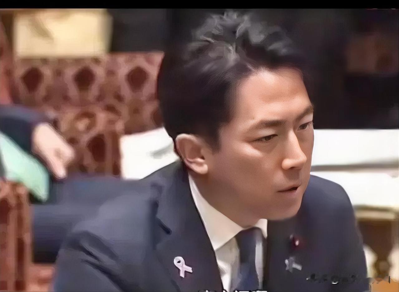 小泉进次郎：“我们不能坐以待毙，我们要主动进攻。”这句看似强硬的表态，出自