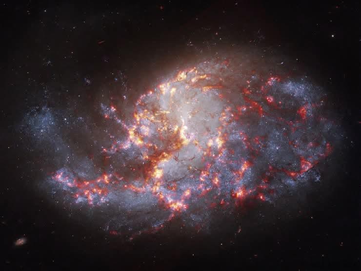 NGC1385是一个具有星杆的螺旋星系，其星杆正在引发一波恒星形成爆发。我将