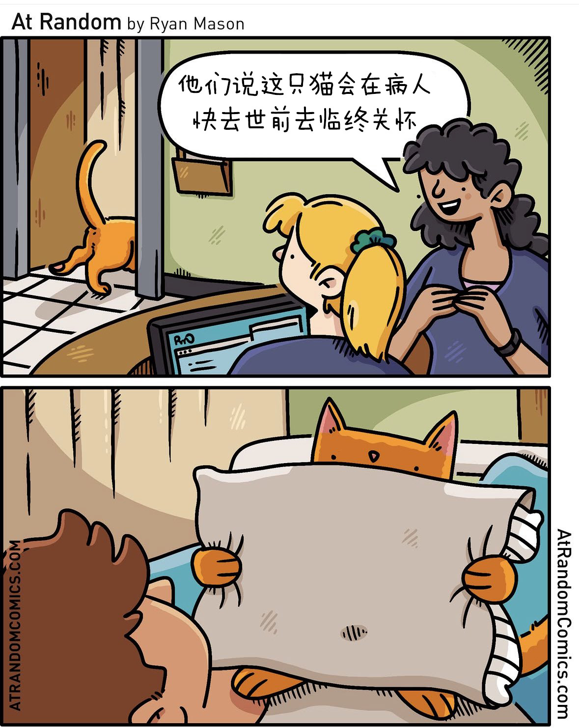 如果猫有朋友圈，它肯定连一张它的人类都不会发