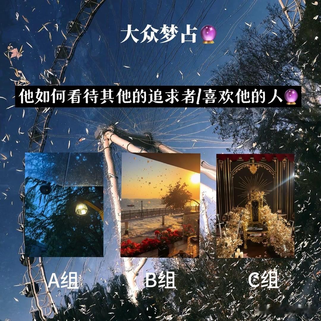 他如何看待其他的追求者/喜欢他的人