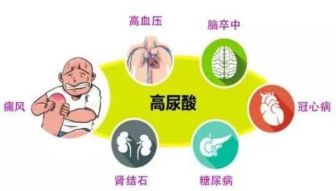 当高尿酸遇上高血压, 怎么做才能双降?