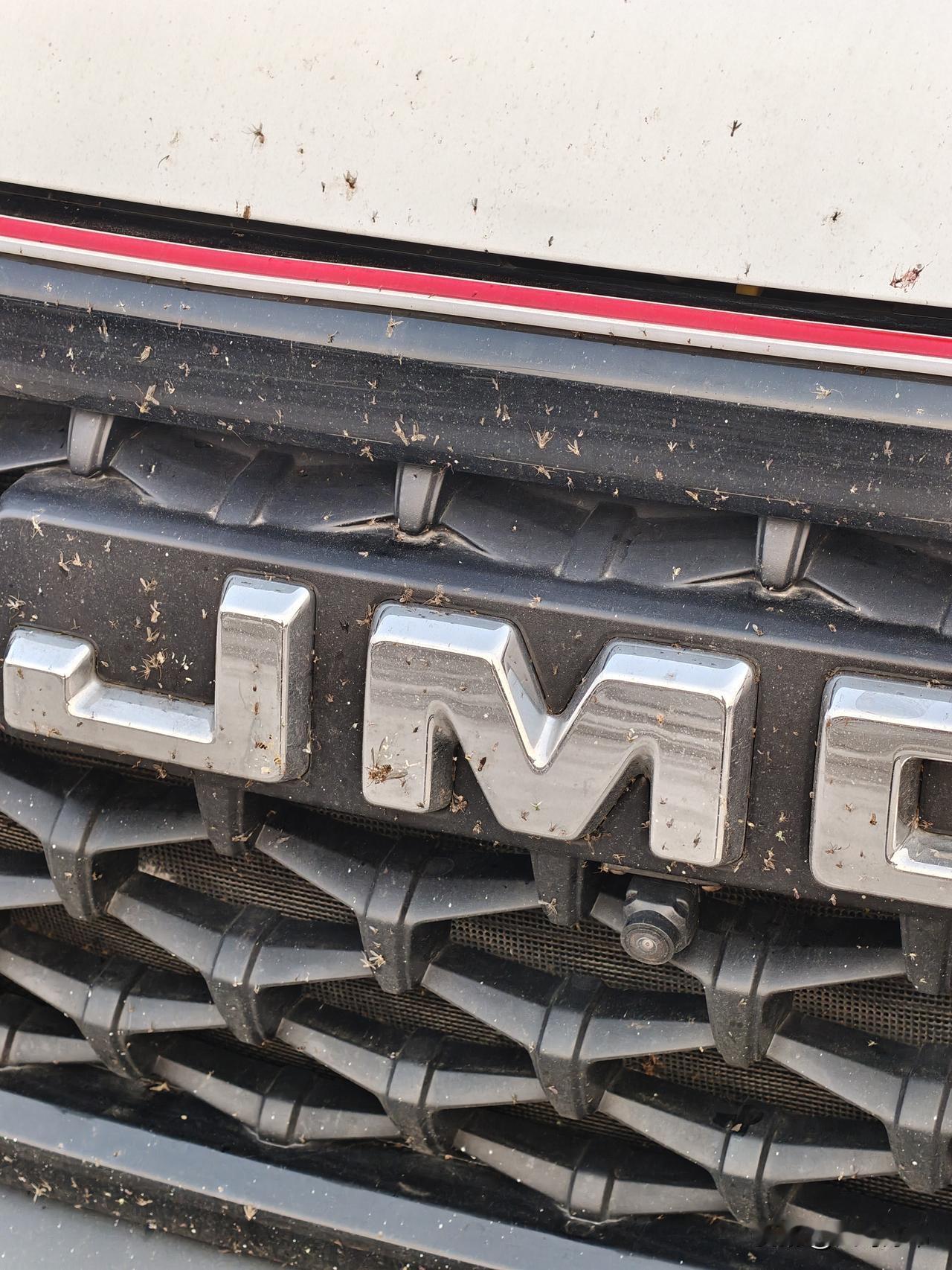 从广东往河北走高速，从徐闻到武汉，这一路也没什么飞虫，可到了河南滑县服务区发现车