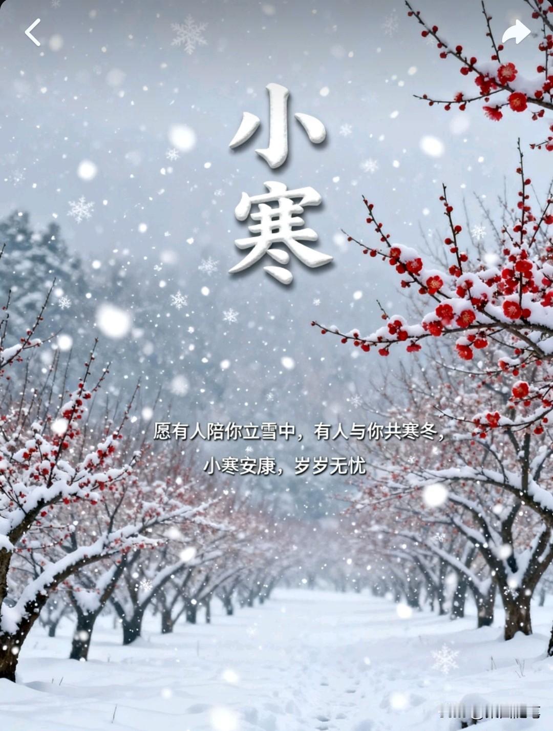 夜半残灯坐不眠，孤灯霜月小寒天。今日小寒！灯花瘦成故人影，霜月沁透旧窗纱。更