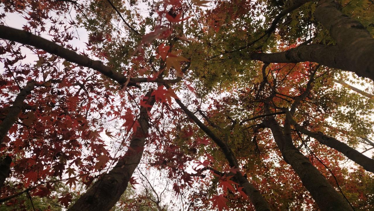 30岁之前，我觉得是因为有了爱才有了婚姻。爱就是心动的感觉，要他每天把我爱你