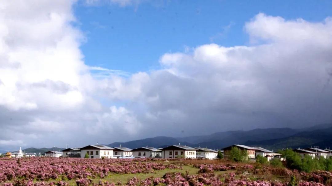 夏日赏花地图,5月-8月,这个夏天必去的14个赏花胜地