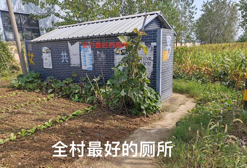 我们很多农村地区，还是很苦。我之前去过江苏一个村子，待了几天，说实话，大为震惊。