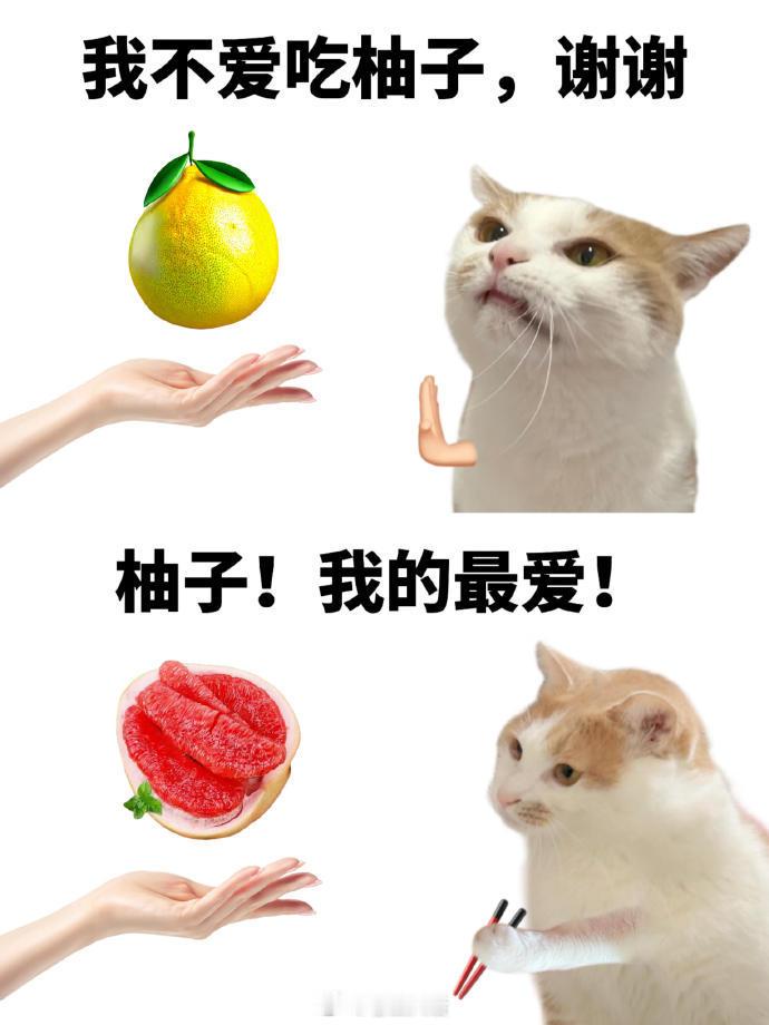 当代年轻人对食物的双标日常​​​