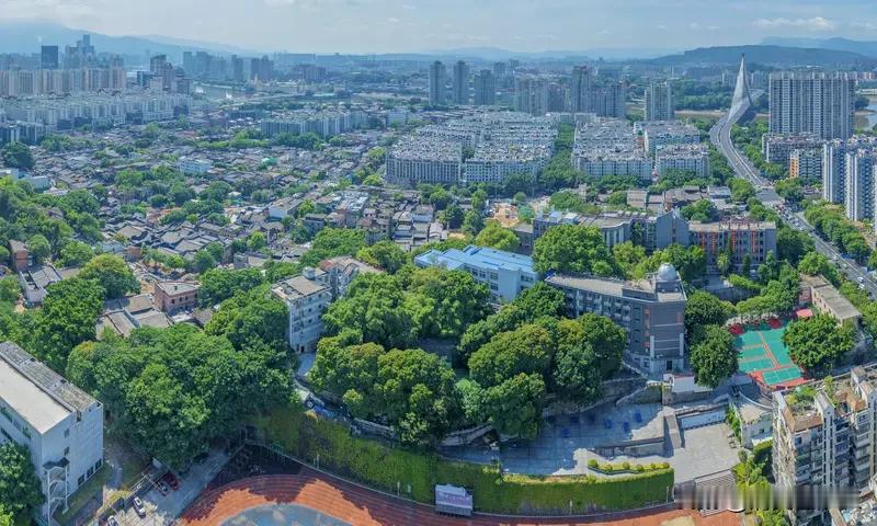 一三附实力有多强？2026福州市区TOP3高中高考成绩单1、福州一中：作为福