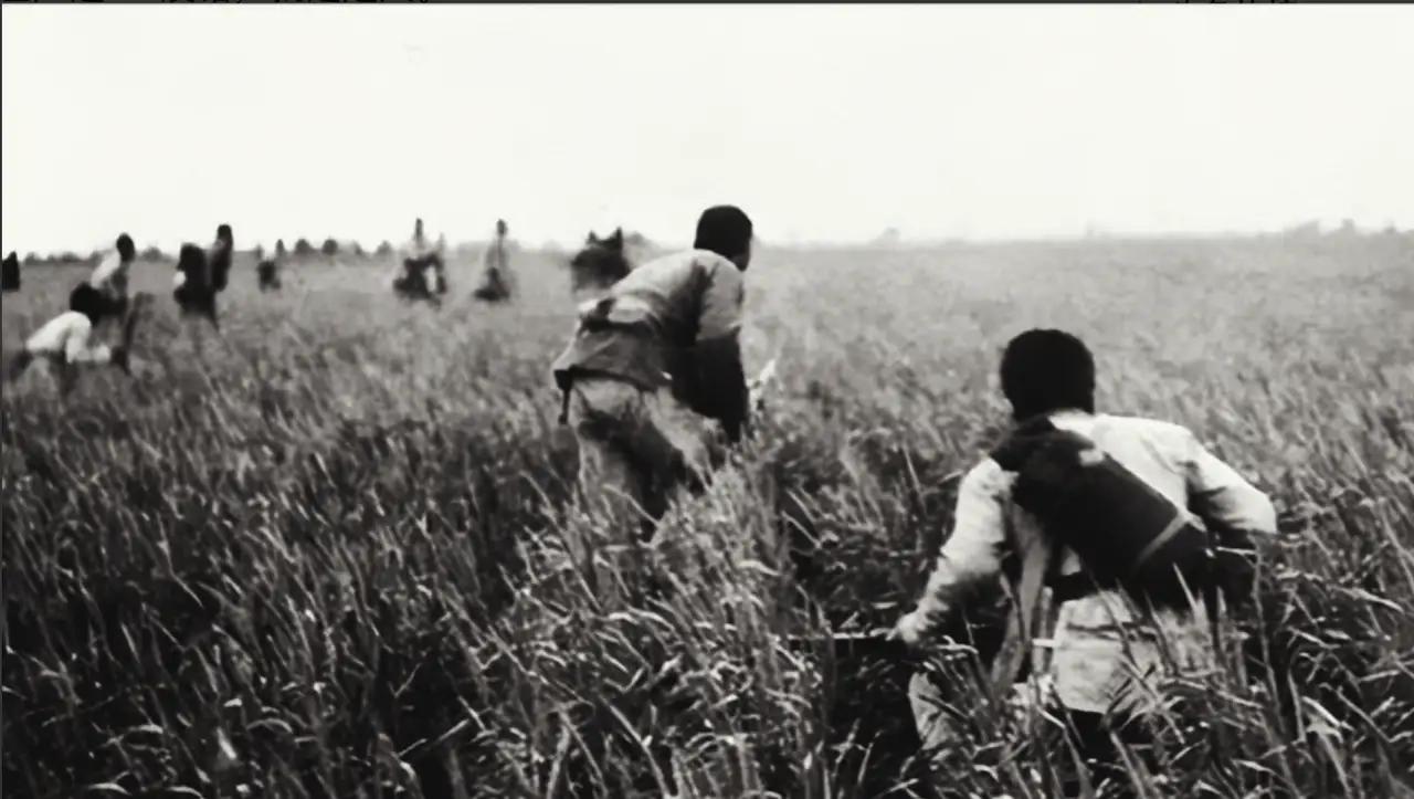 1939年，八路军张智忠，护送黄金途中，遭敌突袭时，带一位战士突围。不料，战士见