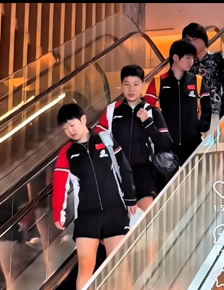 我惊呆了，莎莎当大姐姐了。带上弟弟，妹妹出来炸街了，站在电梯上，一字排开，