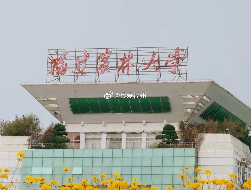 福建农大：今年扩招规模居省内高校前列！“物化组”投档分较2025年上涨14分福建
