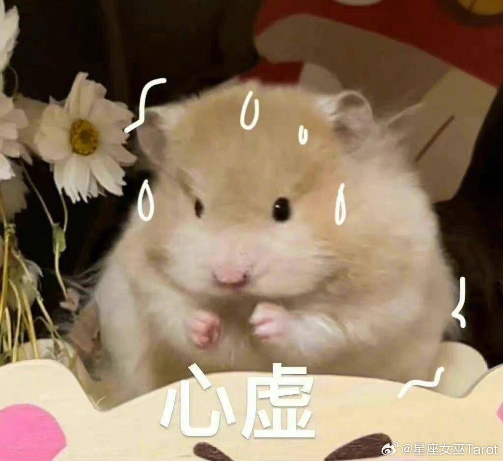 嘴上说不要，身体很诚实的星座：金牛：说不饿，筷子没停过狮子：说不生气，脸黑了一天