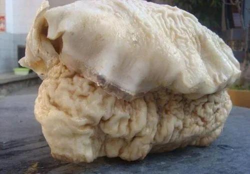 1992年8月，陕西周至县农民吴凤莲带着儿子去渭河边打捞浮柴，结果发现水上正漂着