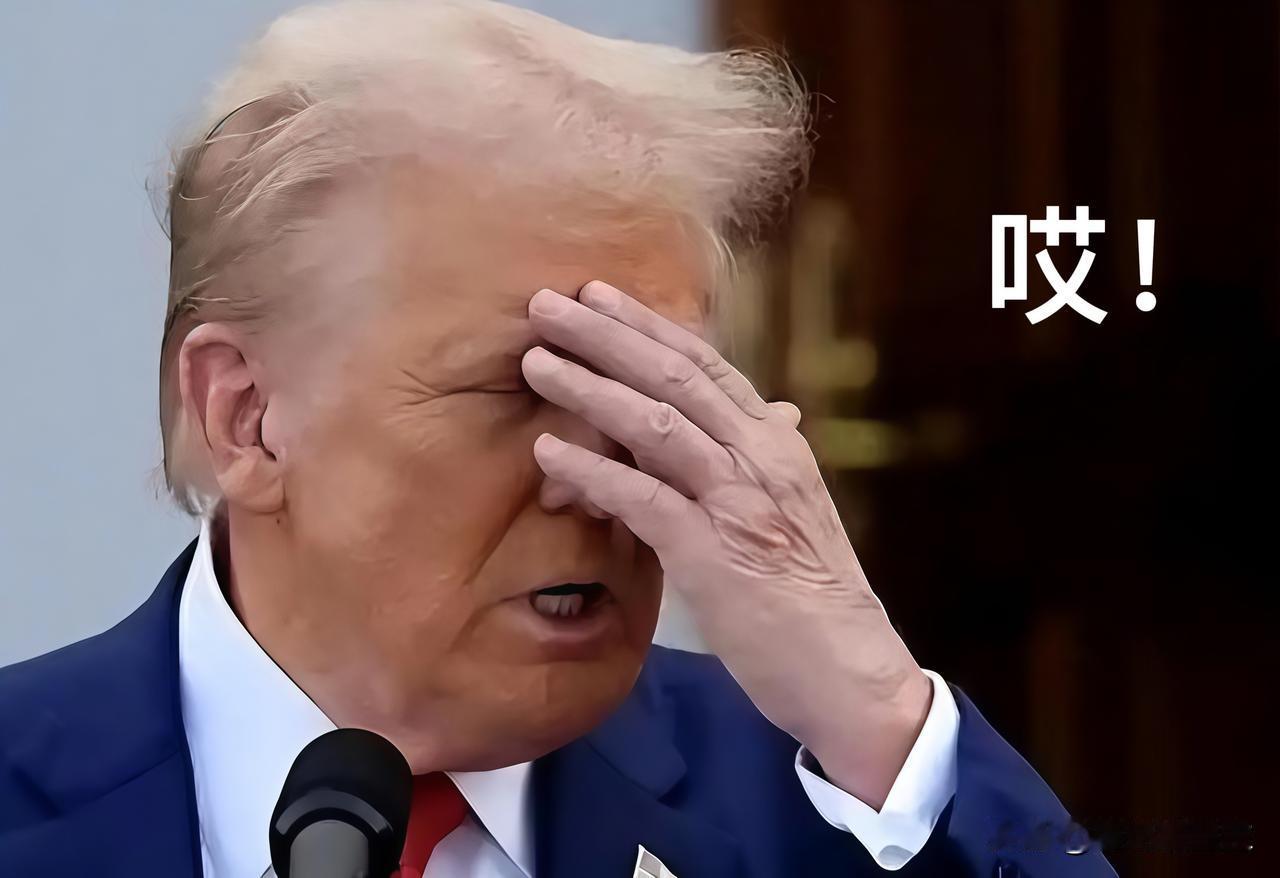 特朗普这回终于看明白了2018年特朗普首次执政时掀起的中美贸易战，一晃已经持续