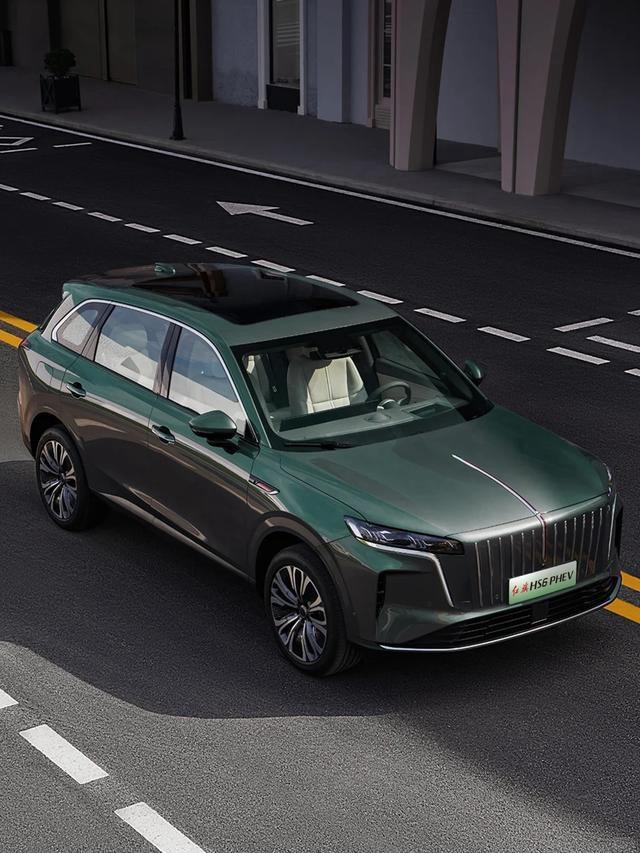 红旗的这几款旗舰SUV还是挺帅的，不管是外观还是内饰在国内还是有自身风格的，图片