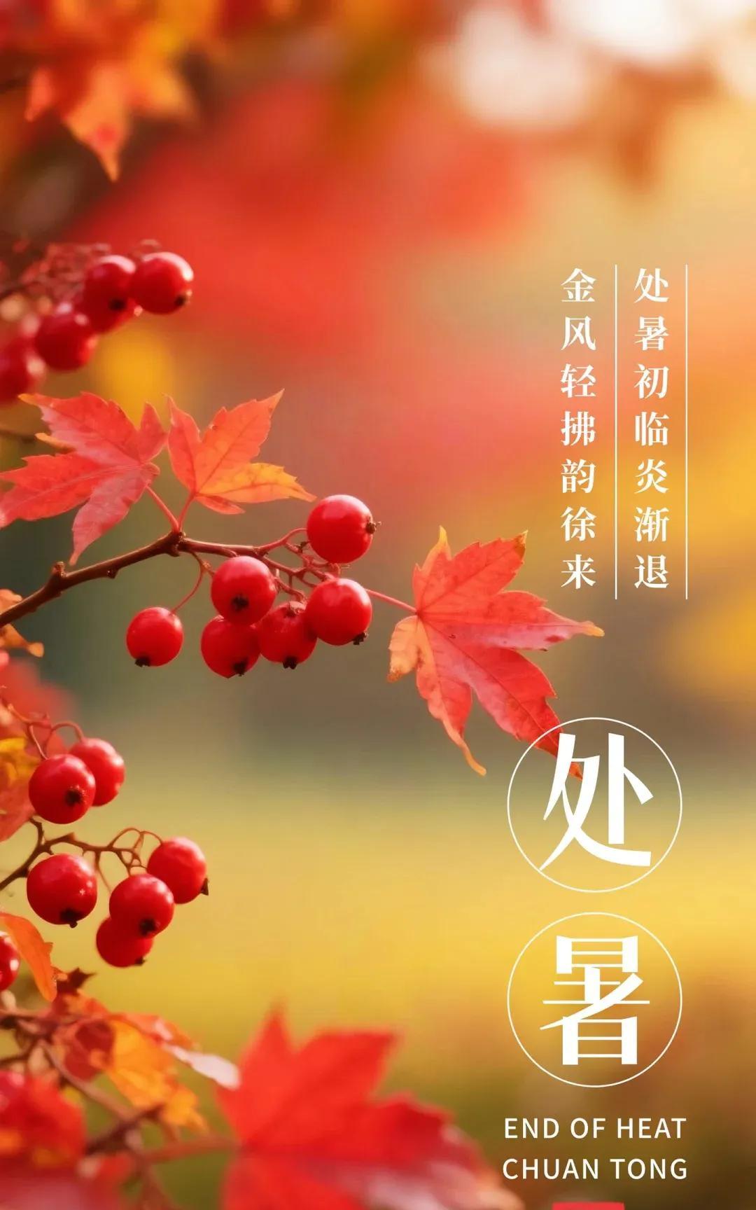 《行香子·处暑吟》雾霭晨收，暑气云流。见疏桐叶落惊秋。雁横远岫，蝉隐高梧。正风