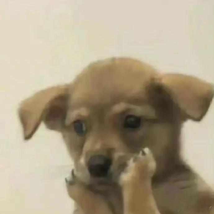 上个周末终于品鉴完了宗教神漫巨人，其实巨人的故事啥的真不复杂，那个政斗也非常想当