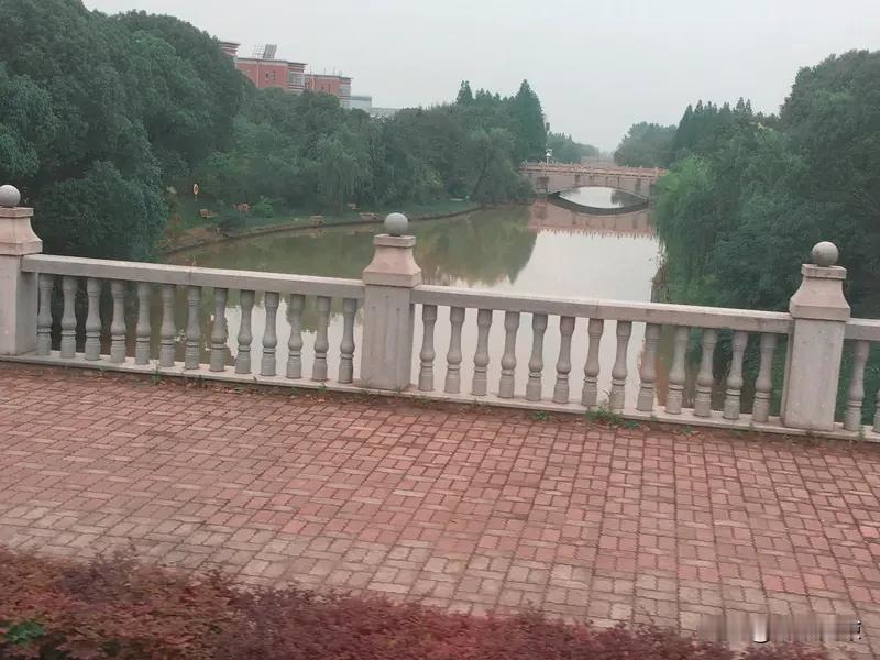 你知道吗？一份看似普通的心得体会，竟能成为职场晋升的“秘密武器”！今天，就带你揭