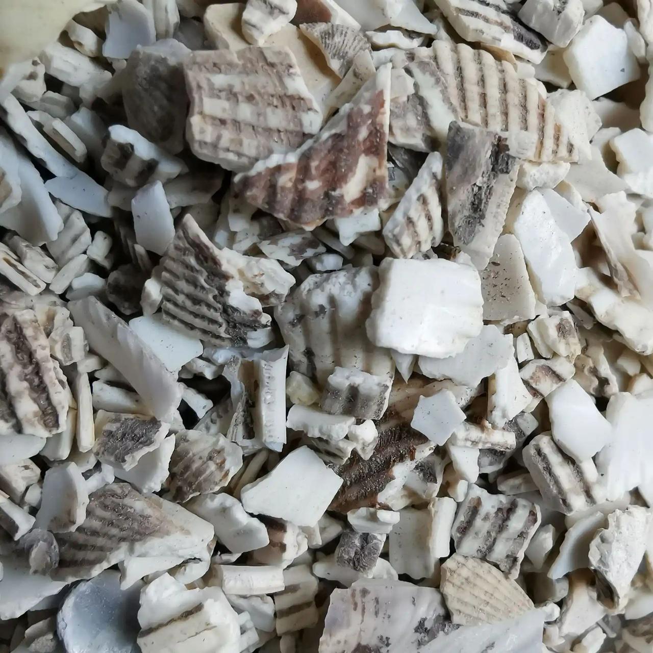 一味猛药，能钻进肺里扫清痰湿，慢阻肺咳喘不攻自破。“医生，我这咳嗽痰多的毛