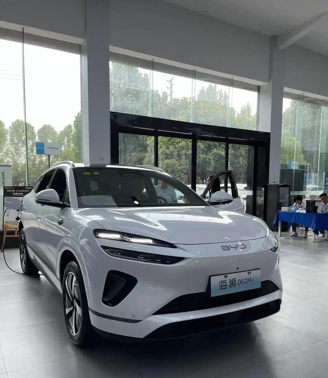 谁能想到！比亚迪海狮06上市仅100天就狂销10万辆，8月卖25453辆、9月破