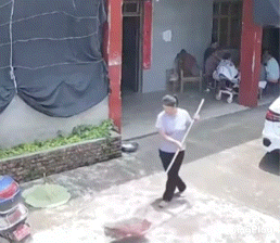 就这么随随便便地活下去也不错