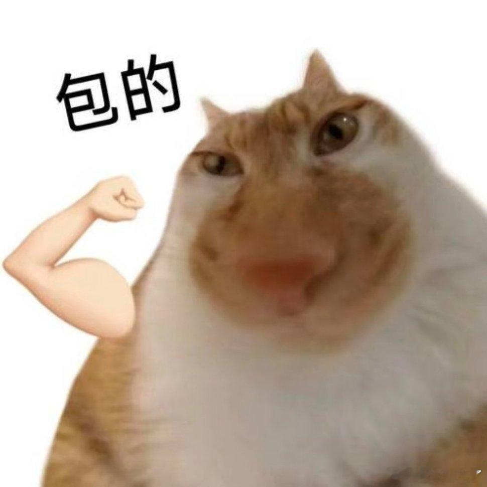 存的表情包动漫点评团次元新星计划