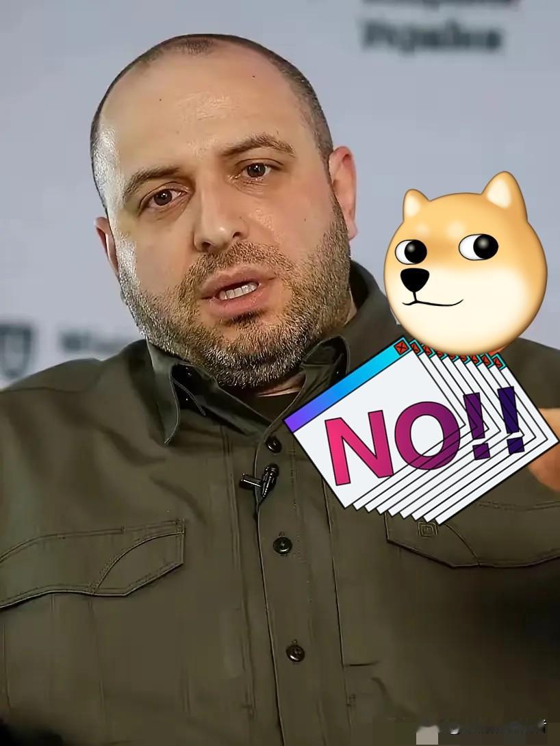 就在刚刚乌克兰正式宣布11月22日，乌克兰国家安全与国防委员会秘书乌梅罗