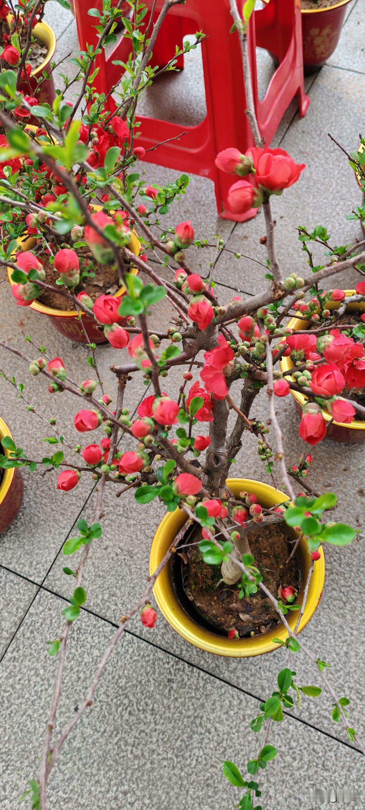 有的人情商真的好低。刚刚我刷到一女的说她从不在人前FP，包括在老公面前，而她老