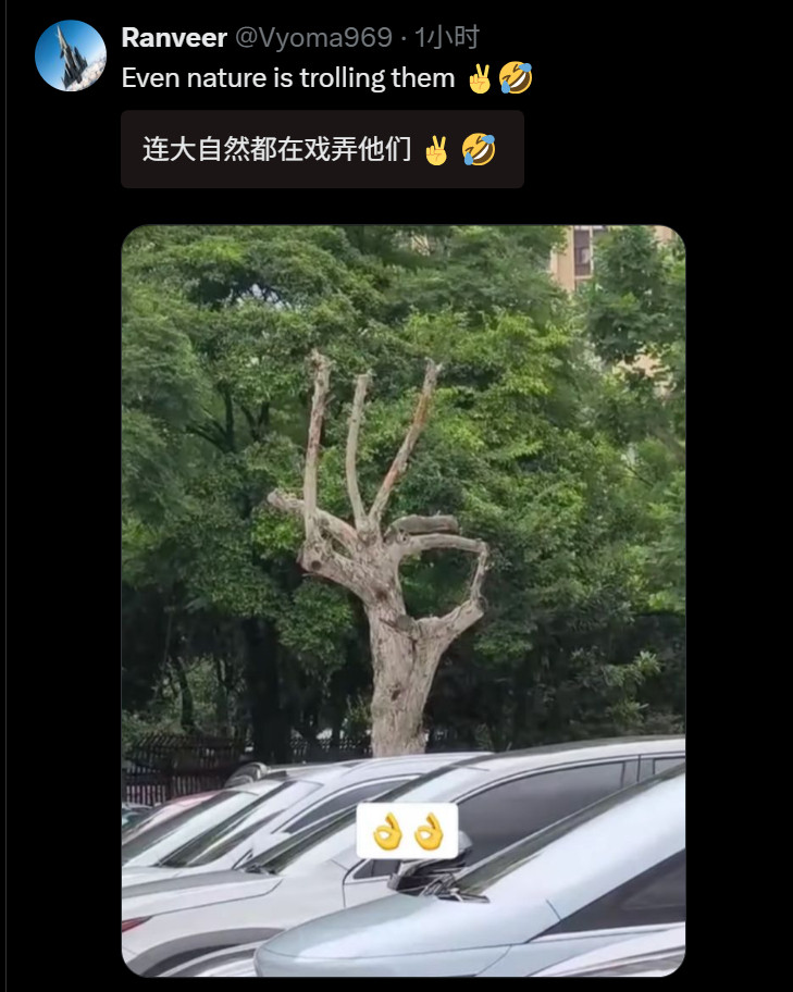 🔻网友分享：东南亚网民和韩国网民怎么还在网上吵啊？🔻他们不过年吗？热点现场海