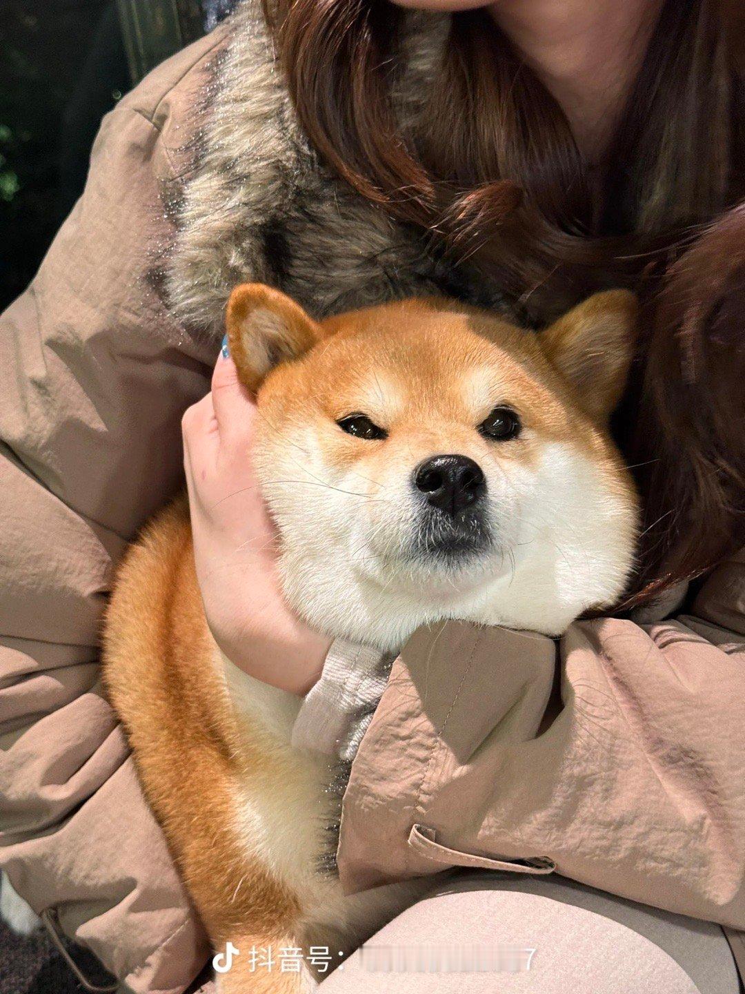 云看狗ฅ՞•ﻌ•՞ฅ