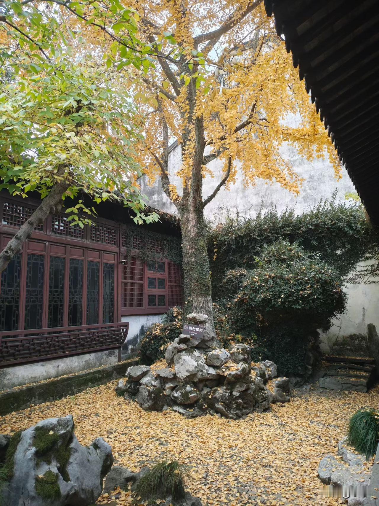 在当地的一个贷款平台，把我和老公，还有弟弟的微信支付还有银行卡冻结了。贷款平