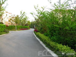 四周环境　　楼房风水的好坏，首先要这栋楼房周围的环境情况，前后左右的道路、河流