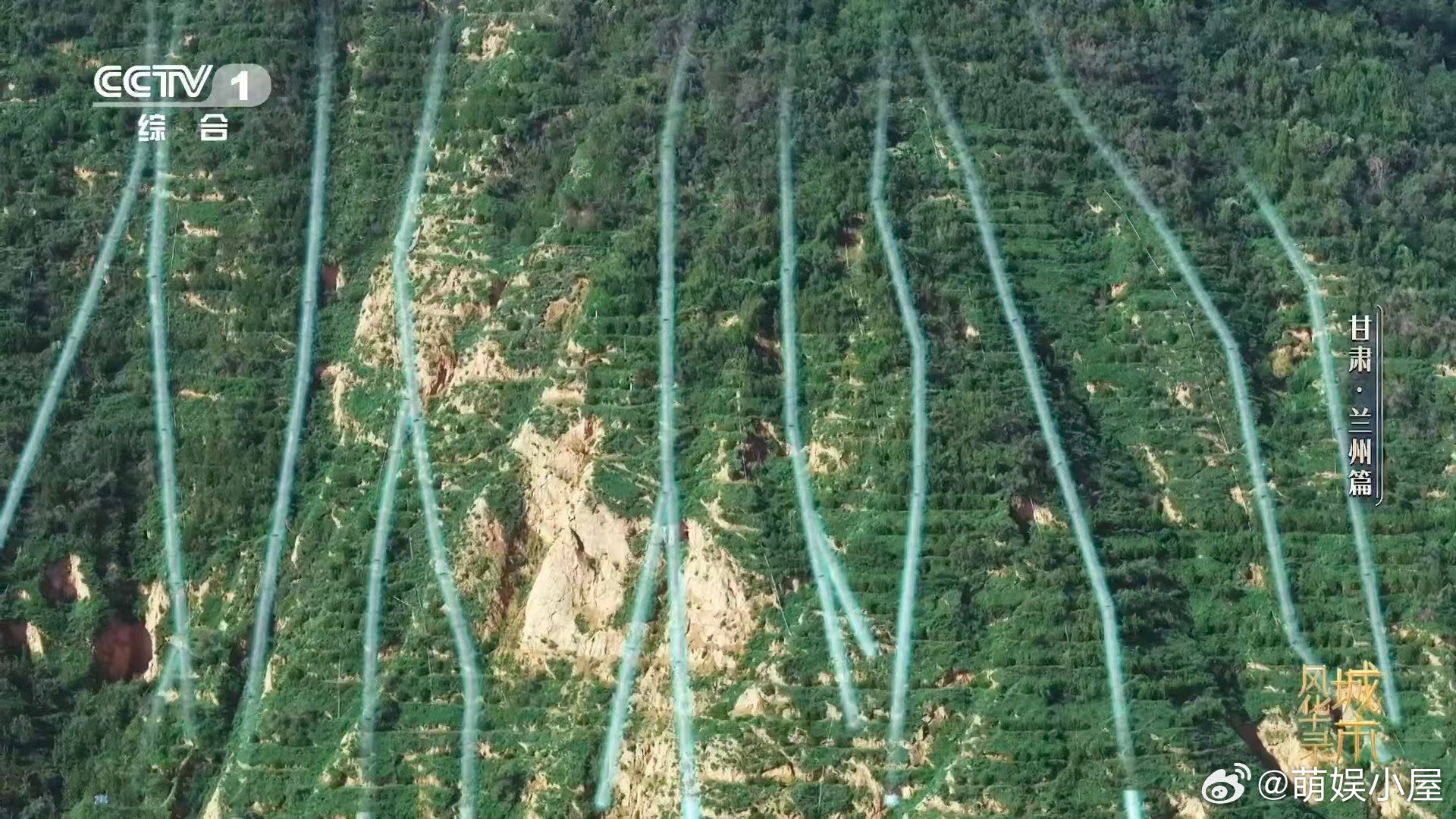 兰州人70年种活了1.6亿棵树南北两山从光秃秃到郁郁葱葱🍃，1.6亿棵树是
