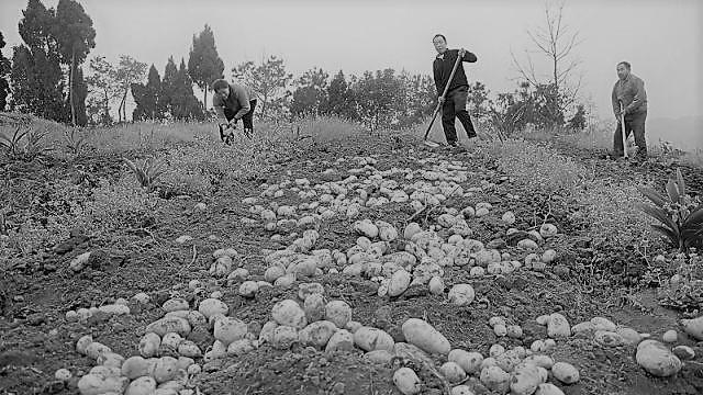 1985年，黑龙江阿城转子山，村民们正挖着土豆，突然，一村民弯腰捡起一块金属疙瘩