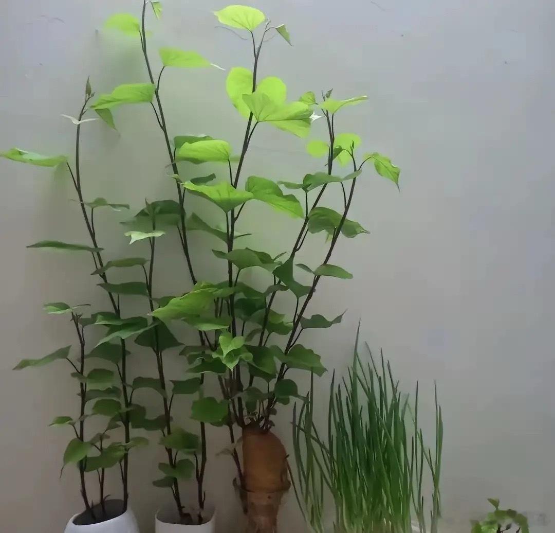 朋友的炒股方法让我惊呆了！他每天早上10点前，在自选股里，只选择跌幅3%到5%的