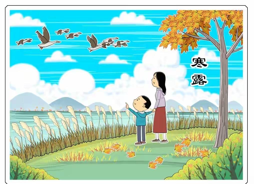 寒露养生指南：从日常细节到人群定制，解锁深秋健康密码除通用养生建议外，针对