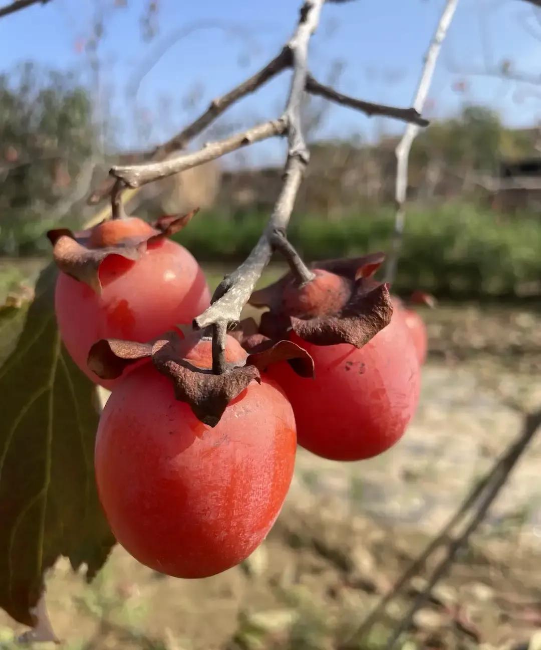 一位家长每天醒来第一件事，就是写三句话给孩子：愿你今天不咳嗽，愿老师不点你名，愿