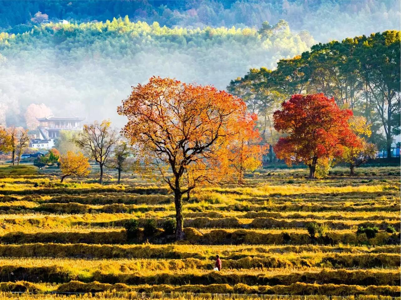 父母在孩子的成长过程当中真的非常的重要！我举个非例子，我们的一个学生是金陵中学的